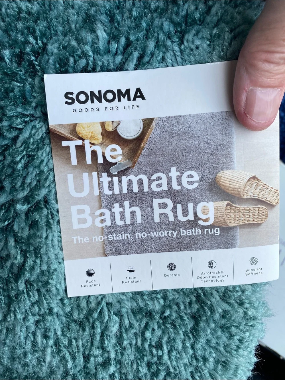 Sonoma Plush Shag Door bath Mat in Teal